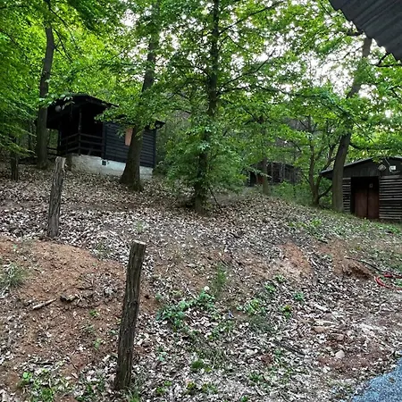 Basecamp *