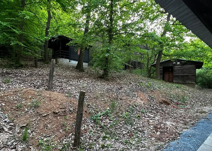 Basecamp *